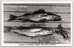 Nestor Falls ON Pickerel (Walleye) on Deck~Hanson Wilderness Lodges RPPC 1940s