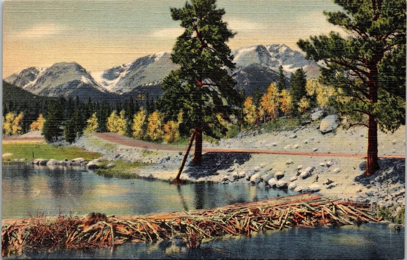 Mummy Range Beaver Dams Hidden Valley Ridge Rd Rocky Mountain Park CO Postcard  