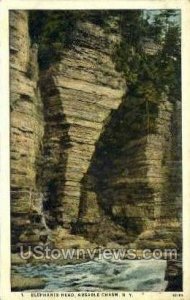 Elephant's Head in AUSA ble Chasm, New York