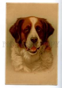 156503 Saint BERNARD Dog St. Bernard by SCHWAR Vintage PC