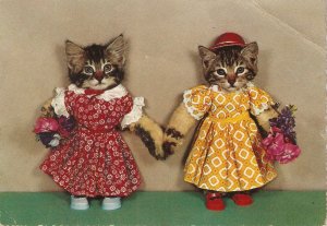 Humanized cats, Wedding dy Nice modern German postcard