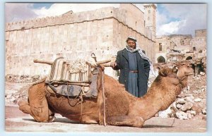 HEBRON Abraham Mosque Man Camel PALESTINE 4x6 Postcard