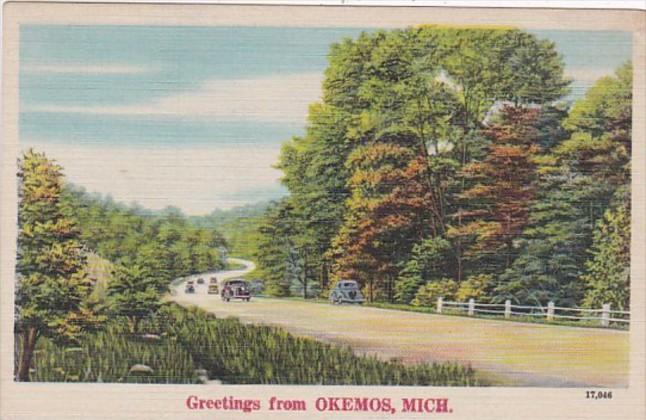 Michigan Greetings From Okemus 1949