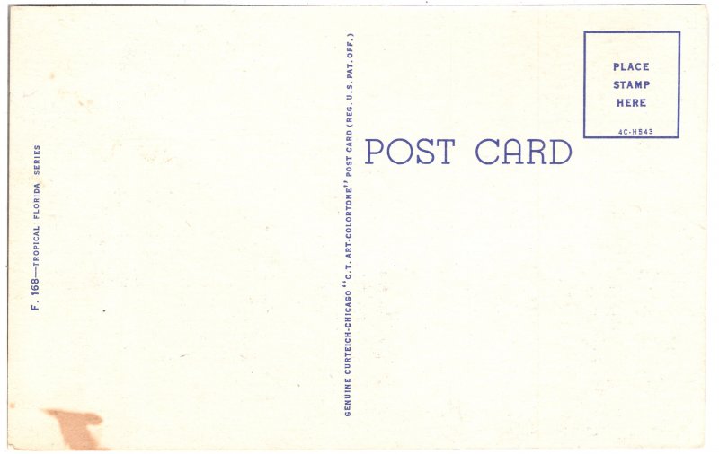 US    PC3135  GOLFING YEAR AROUND IN FLORIDA