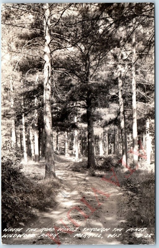 c1930s Merrill, Wis RPPC Wildwood Park Road Pine Trees Real Photo PC WI Fun A166