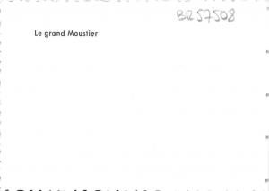 BR57508 Le grand Moustoer 9x7cm     France