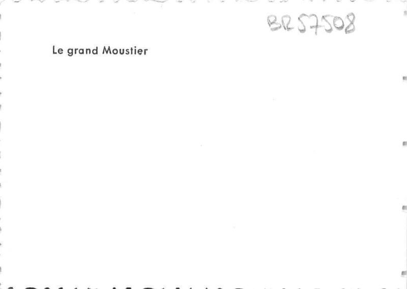 BR57508 Le grand Moustoer 9x7cm     France