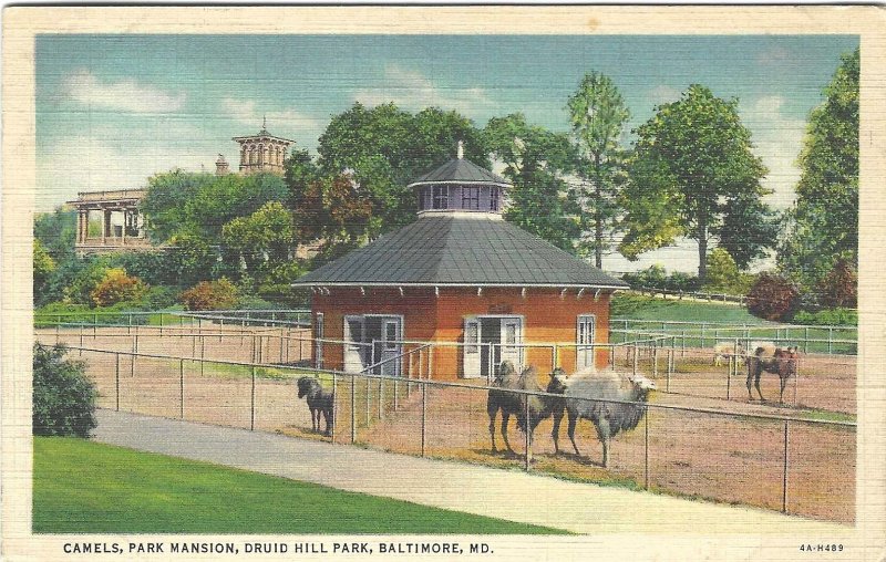 1937 Camels' Park Mansion, Druid Hill Park, Baltimore, Maryland Linen Postcard