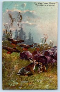 Gibbon Minnesota MN Postcard By Field And Forest Partridges And Hares 1912