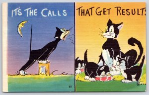 1951 Black Cats It's The Calls That Get Results Colour Picture Posted Postcard