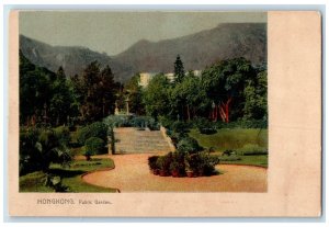 c1905 View Of Public Garden Trees Hong Kong Unposted Antique Postcard