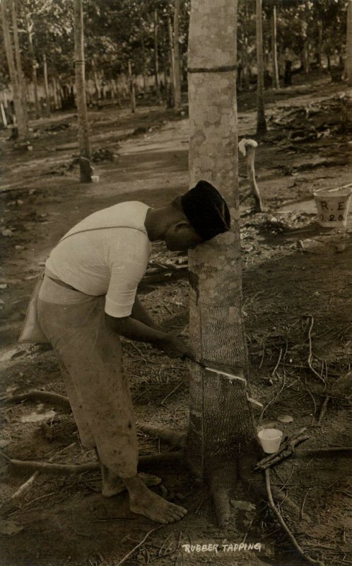 PC CPA SINGAPORE, RUBBER TAPPING, VINTAGE REAL PHOTO POSTCARD (b11996)