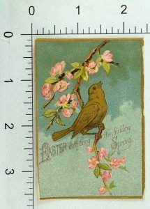 1880's-90's Victorian Easter Card Bird In Tree Blossoms Flowers P78