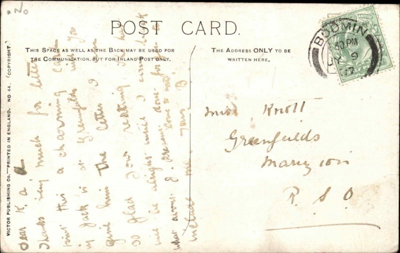 Sid Smith Pitbull Dog Wooing Alley Cat Romance Comic Vintage Postcard