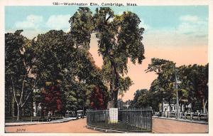 Washington Elm, Cambridge, Massachusetts, Early Postcard, Unused