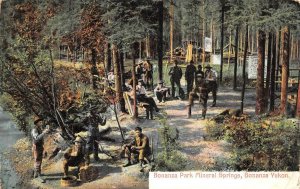 BONANZA PARK MINERAL SPRINGS BONANZA YUKON ALASKA POSTCARD (c. 1910)