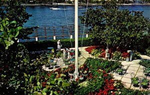 Florida Fort Lauderdale Flowering Garden At Bahia Mar