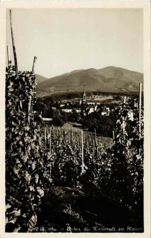 CPA AK die Weinstadt am Blauen GERMANY (891368)