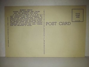 Bulu Monkey Jungle Famous Gorilla Miami FL Curteich postcard