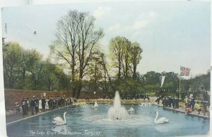 Antique Postcard Swans & Model Boats on The Lake at Kings Gardens Torquay 1907