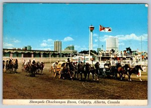 Chuckwagon Races, Calgary Stampede, Alberta, 1974 Chrome Postcard