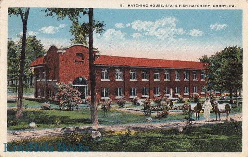 Postcard Hatching House State Fish Hatchery Corry PA