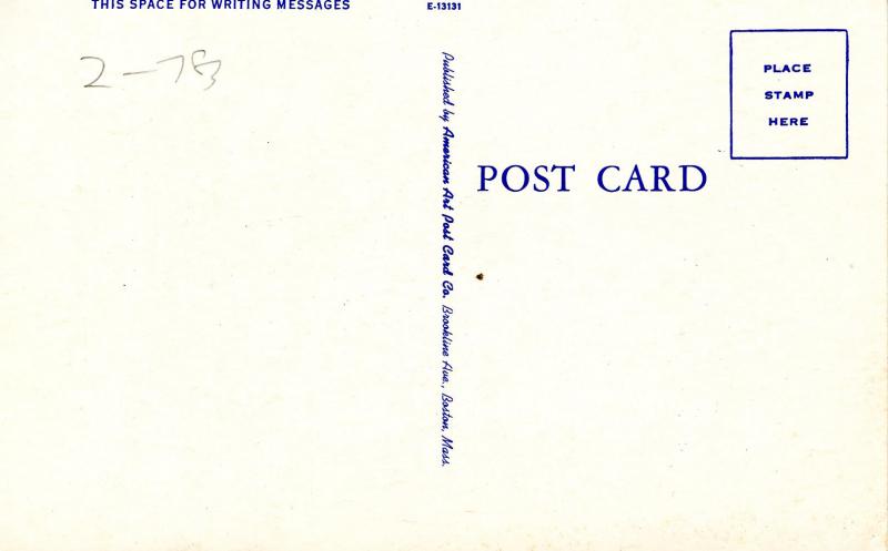 Fish - Maine Lake Trout