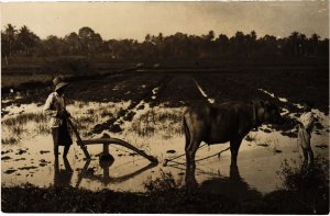 PC REAL PHOTO AGRICULTURE ETHNIC TYPES INDONESIA (a29549)