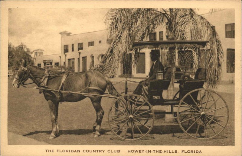 Howey in the Hills FL Horse Carriage Taxi Country Club c1920s Postcard