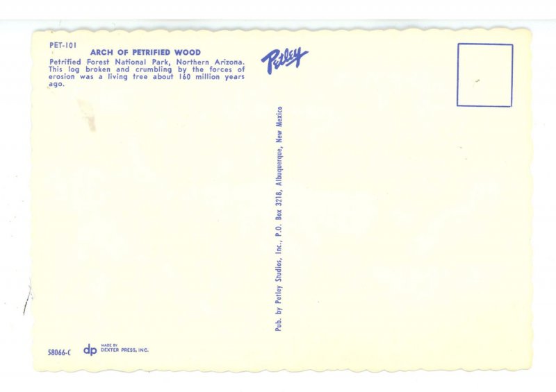 AZ - The Petrified Forest (continental size)