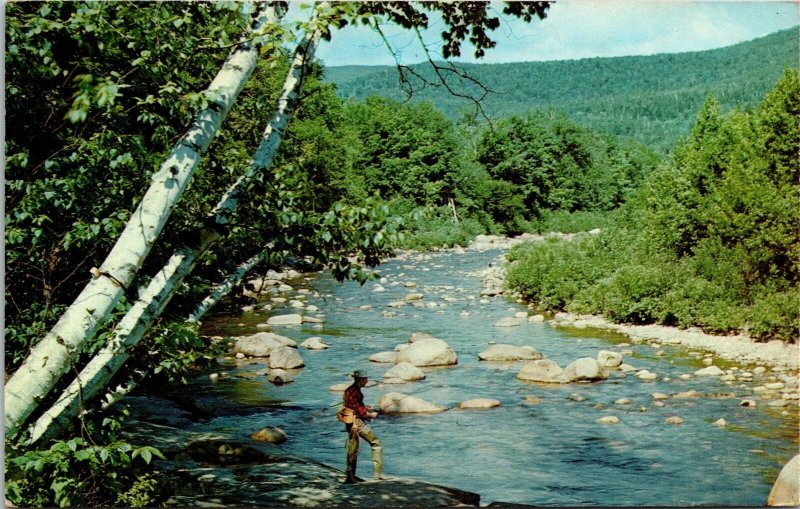 Greetings Sebasticook Lake Newport Maine Fishing Scenic Chrome Postcard 