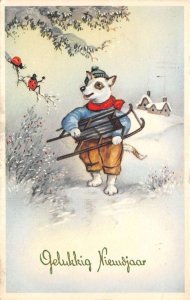 Dutch Netherlands Christmas Greetings Dressed Dog with Sled Lady Bugs PC AA74819