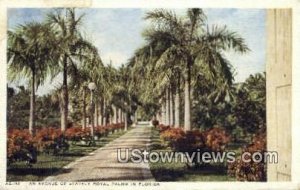 Stately Royal Palms - Misc, Florida FL  