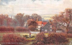 uk28084 tooleys farm hampstead heath london uk