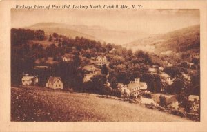 Catskill Mts New York Pine Hill Birds Eye View Vintage Postcard AA44647