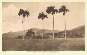 The Palms on the Savannah Trinidad B.W.I Vintage Postcard 07.14