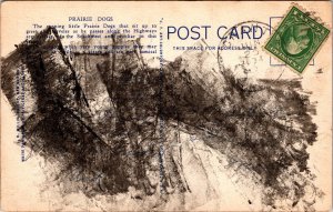 Prairie Dogs Linen Pm Southwest Vintage Postcard 