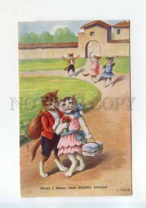 528117 OHLER Dressed PUSSY CAT Travellers Vintage postcard