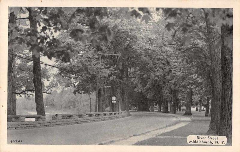 Middleburgh New York River Street Scenic View Antique Postcard J75063