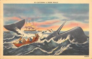 Capturing a Sperm Whale Fishing PU Unknown 