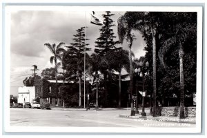 c1940's Palm Trees City Hall View Barton Studio Whittier CA RPPC Photo Postcard 