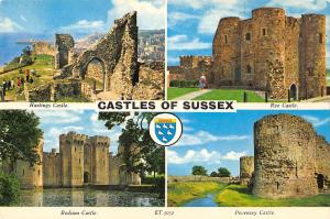 uk10639 castles of  sussex uk