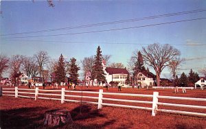 Craftsbury Common Vermont 1970s Postcard White Fence