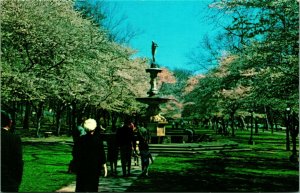 Josephine Gardens Fountain Wilmington Delaware DE UNP Chrome Postcard A9