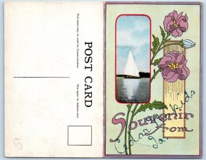 Cedar Rapids Iowa IA Postcard Souvenir Flowers Multiview Fold Out 1910 Unposted