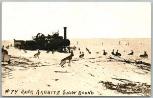 JACK RABBITS SNOW BOUND ANTIQUE REAL PHOTO POSTCARD RPPC  PHOTOMONTAGE collage