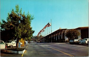 Vtg Redlands California CA Sage's Shopping Center Supermarket 1960s Postcard