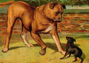 1870's-80's Maurice O'Brien San Jose CA Candy Factory Big Dog & Little Dog 7B