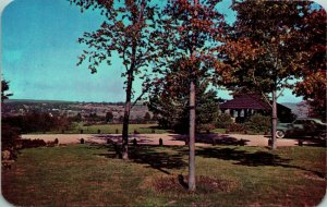 Petoskey Michigan MI Highway US-131 Turnout Car Unused UNP Vtg Chrome Postcard