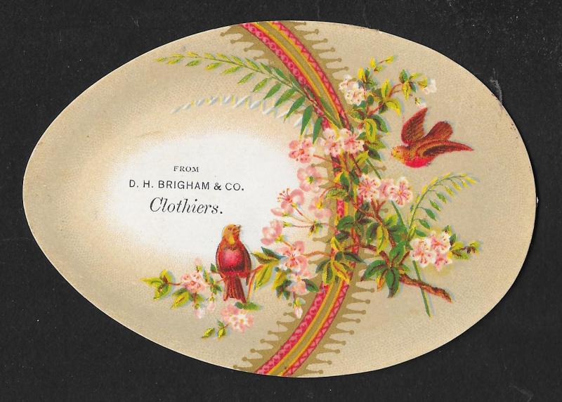 VICTORIAN TRADE CARDS (4) Brigham Clothiers Egg Shape Flowers, Birds, Town Views